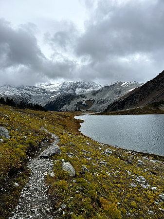 A mountain bike trail through green mountains in Whistler, British Columbia