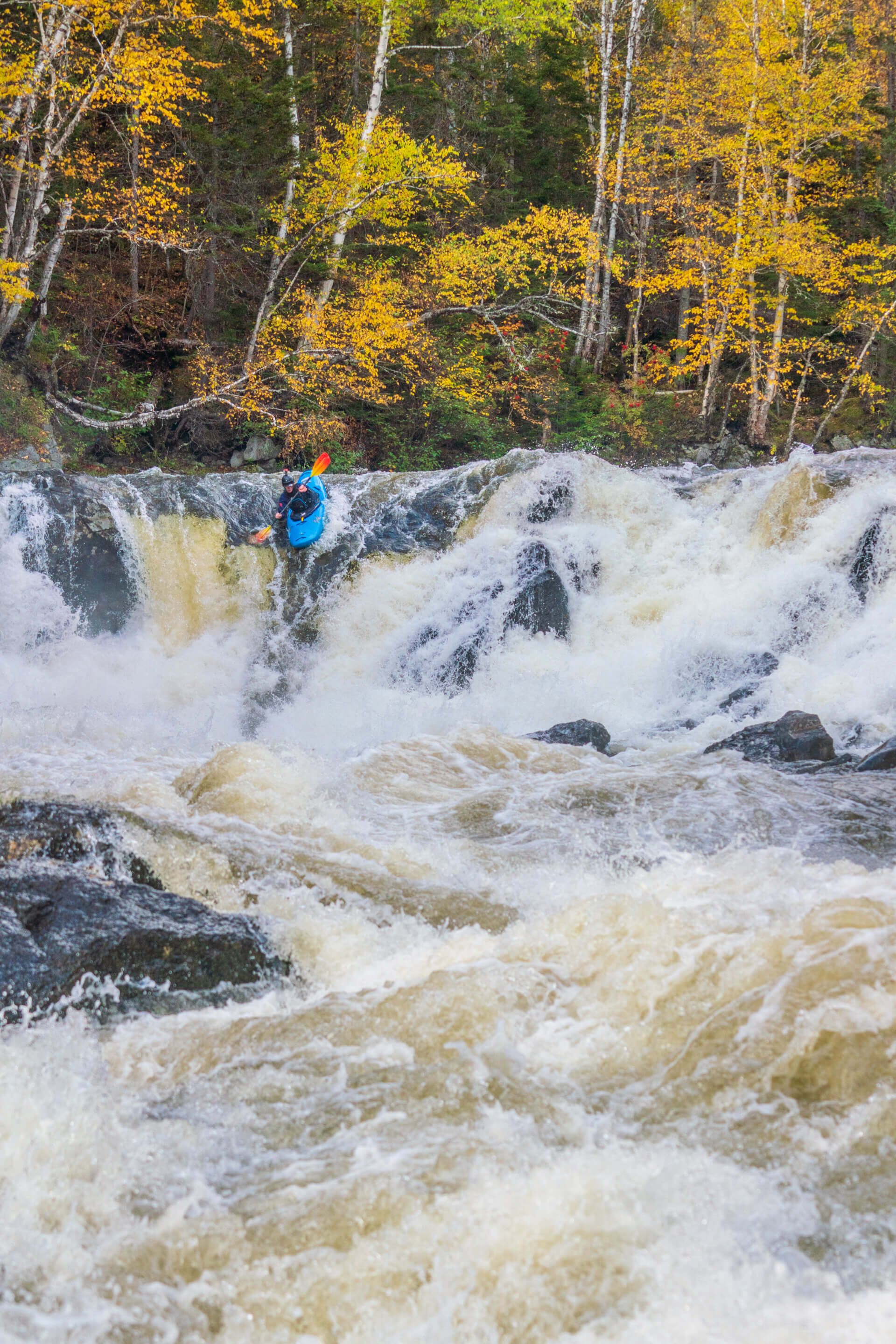 Whitewater kayaker running a rapid framed by golden autumn foliage in Eastern Canada