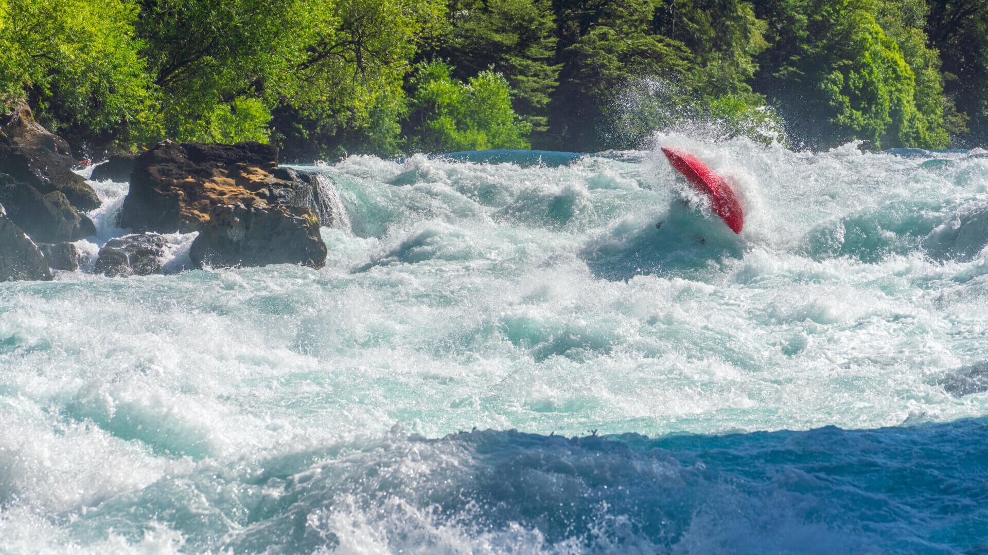 Whitewater kayaker flipping in big rapids along lush green banks in Patagonia