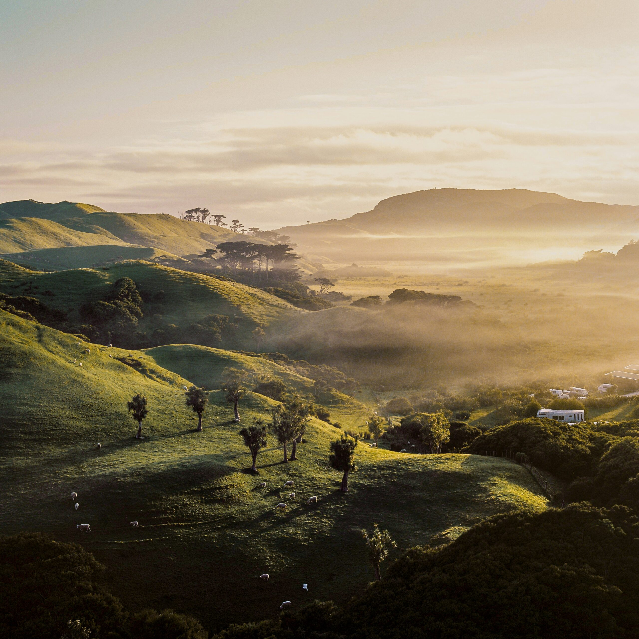 Aerial view of green hills and water in New Zealand