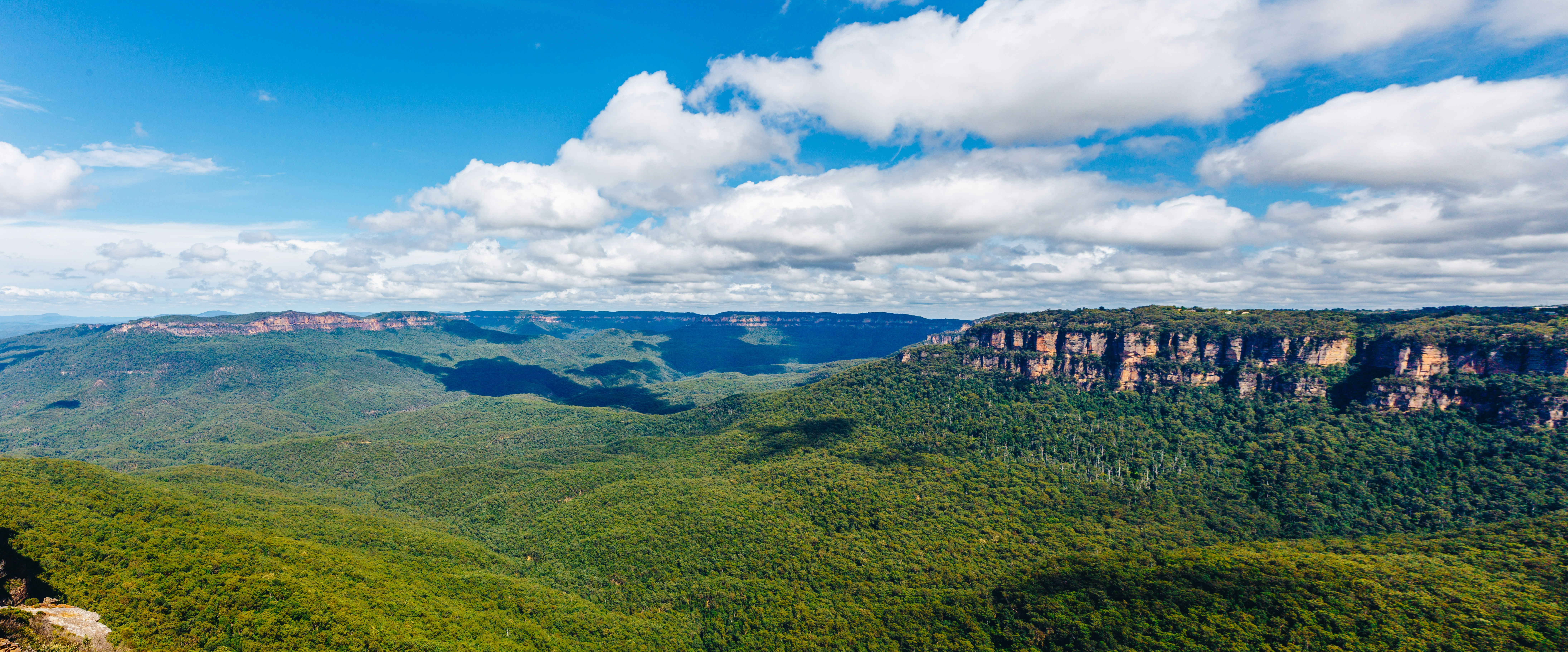 Rolling green hills along the Australian coast