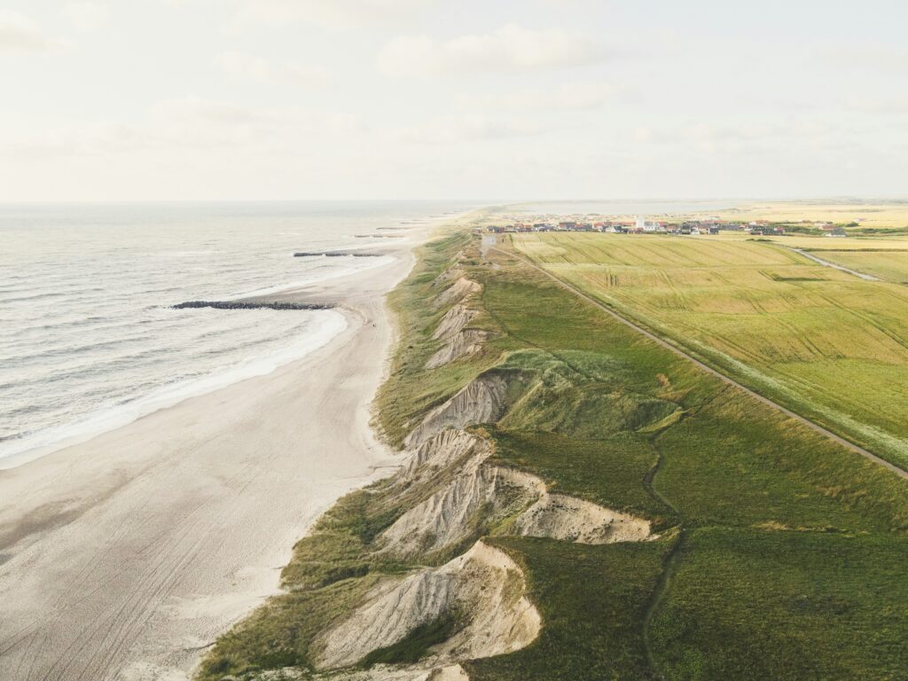 A sandy beach and dunes on the Danish coast
